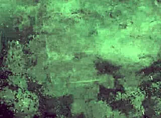 Vintage Nudes In Nature Presented.