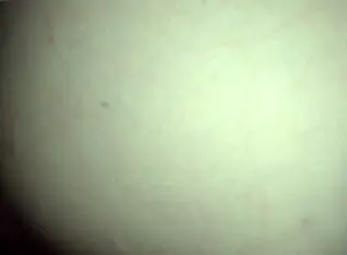 amateur pov doggystyle with biggseandogg