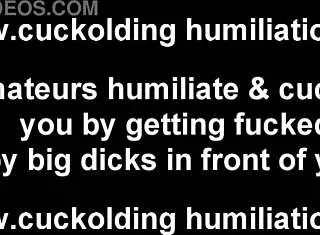 Can't get hard for your cuckold wife anymore?