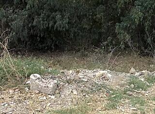 フランス人の農民に不法侵入で捕まって、野外でバックで突かれることにした！