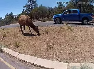 Rush and Lia, are you making a porno preview in the shower with stockings?