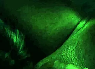 Nikee Daniel sucks and licks balls