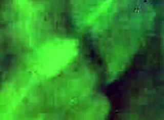 Homies exploring new experiences in part three