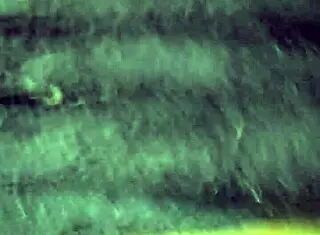 Kamilly Campos Records a Client Meeting