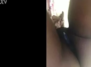 Who is this mysterious webcam girl