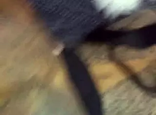 Kamilly Campos Records a Client Meeting