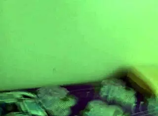 em nhung in high definition video 😍