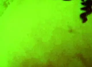 Thick wife anal fucked with huge cum shot, can you believe how deep he goes?