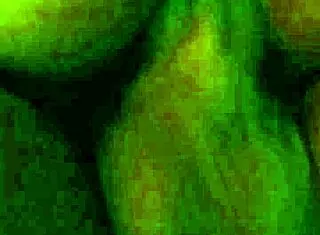 Getting My Monster Cock Rode In Usa