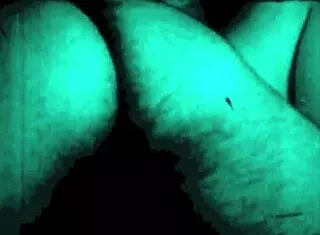 my secret life tales from a victorian boudoir antique stories