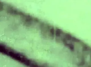 my secret life tales from a victorian boudoir antique stories