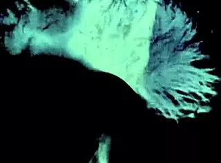 Exploring two centuries of vintage porn from the 19th and 20th centuries.