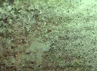 convenci a la mujer de mi hermanastra