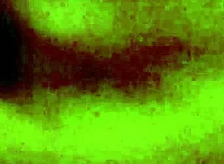 amateur brunette couple explores anal intimacy