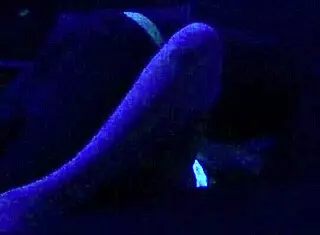 i had this wild blacklight sex with scarlett johnson, but i left it 3 times or something.