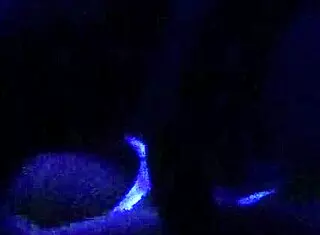 i had this wild blacklight sex with scarlett johnson, but i left it 3 times or something.