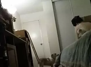 neighbor's secret code