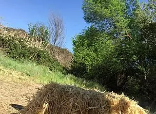 follandome yo solito en la cama 😏