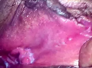 The story of a prostitute named Panocha in action.