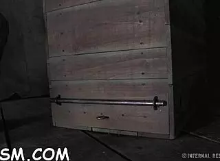 I muzzled this playgirl and tamed her wildly with toys and blowjobs.