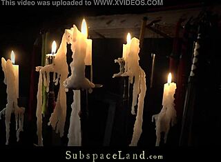 Intensiver Blowjob von junger Latina-Prostituierten führt zu Cumshot