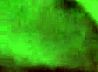 Aniaty Barboza Dances After Fucking Paty Bumbum!