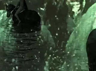 Big Tits Stepmom Tit Fuck After Pool Time