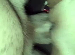 her sleeping way excites everyone around