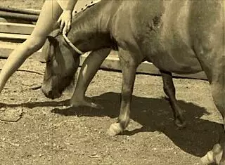 Big Tits Stepmom Tit Fuck After Pool Time