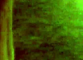 Milf delivers perfect homemade handjob cumshot