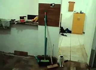 Blonde milf stella shows off her big tits in the kitchen, still full on red