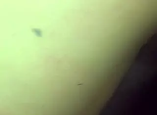 Amateur Teen 18+ Fucks Me Hard!