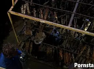 avy scott enjoying cunnilingus and doggystyle 😘