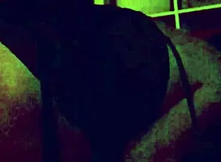 Another Afternoon Of Sublime Pleasure With Couple