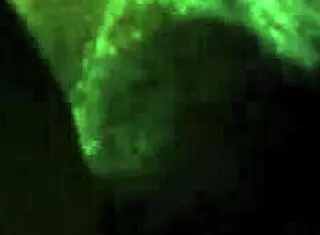 kinky black submissive says, 'fuck me in bondage'