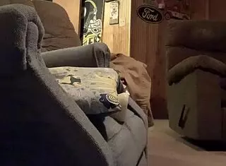 big dick thrusts into pocket pussy