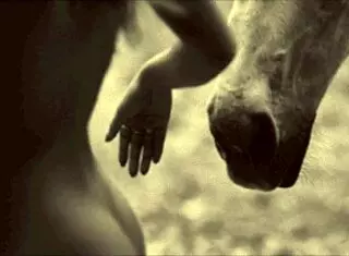 victorian english gentleman reveals erotic sex confessions