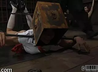 Detailed Bondage Scene With Bound Participant