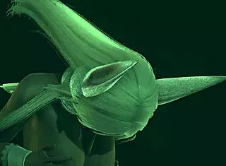 Usagiyama gets fucked by two boys, using her big boobs in this hentai scene