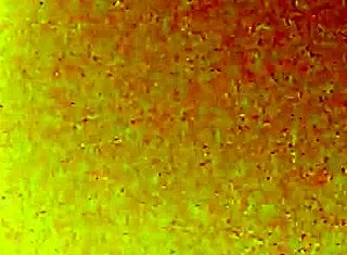 Full Length Video Recorded on October 23, 2017 at 23:20:50