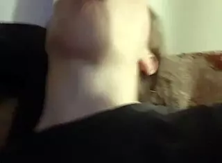 Kingcock receives attention from Queen B in suggestive manner