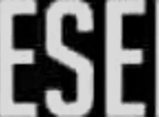 The famous Brazilian pornstar Elisa Sanches gets her ass fucked by a huge black cock.