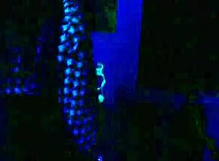 Babe Machine Fucked Hard in Halloween Haunted House