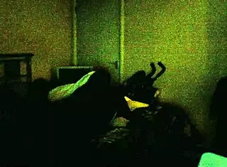 i lick her wet anal hole n she loves it