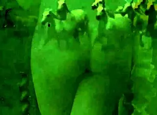 My Secret Life: Vintage Erotic Silent Films