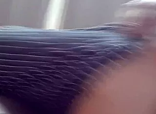 Corinthiana Novinha Morena Loses Bet, Gives Pussy To Padrasto For Internal Cum