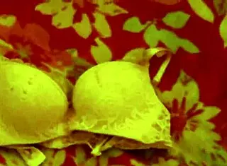 Oh, What a Messy Neighbor's Laundry Day!