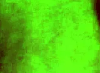 After shower bathing and squirting fun