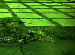 extreme big butt teens say, 'we fuck our master hard'