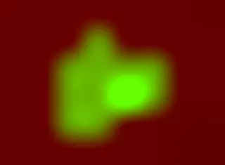 Issei engages with harem members Sia and Siberia in DXD adventure